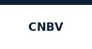 CNBV supervisa créditos corporativos de Banamex Empresarial